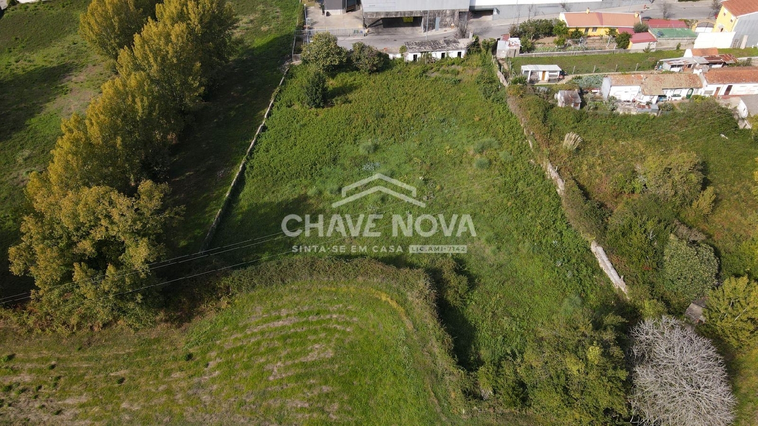 te koop terrein Oliveira do Douro Cinfães 3