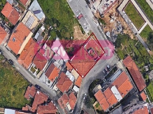 Oliveira do Douro Cinfães terrein foto 321776