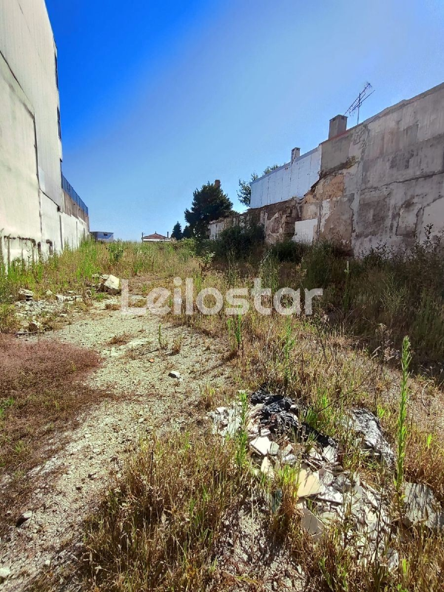 te koop terrein Oliveira do Douro Cinfães 2