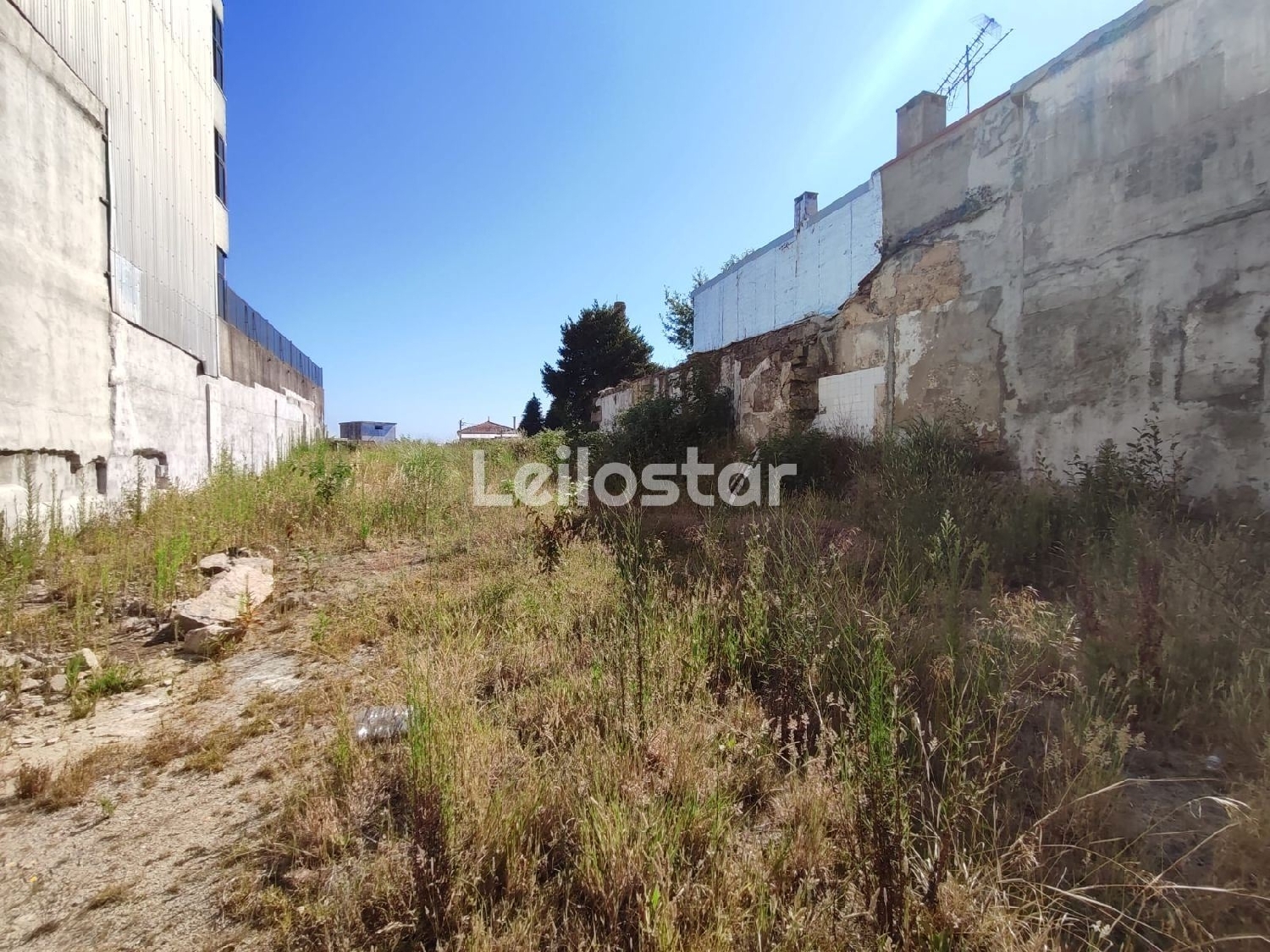 te koop terrein Oliveira do Douro Cinfães 3