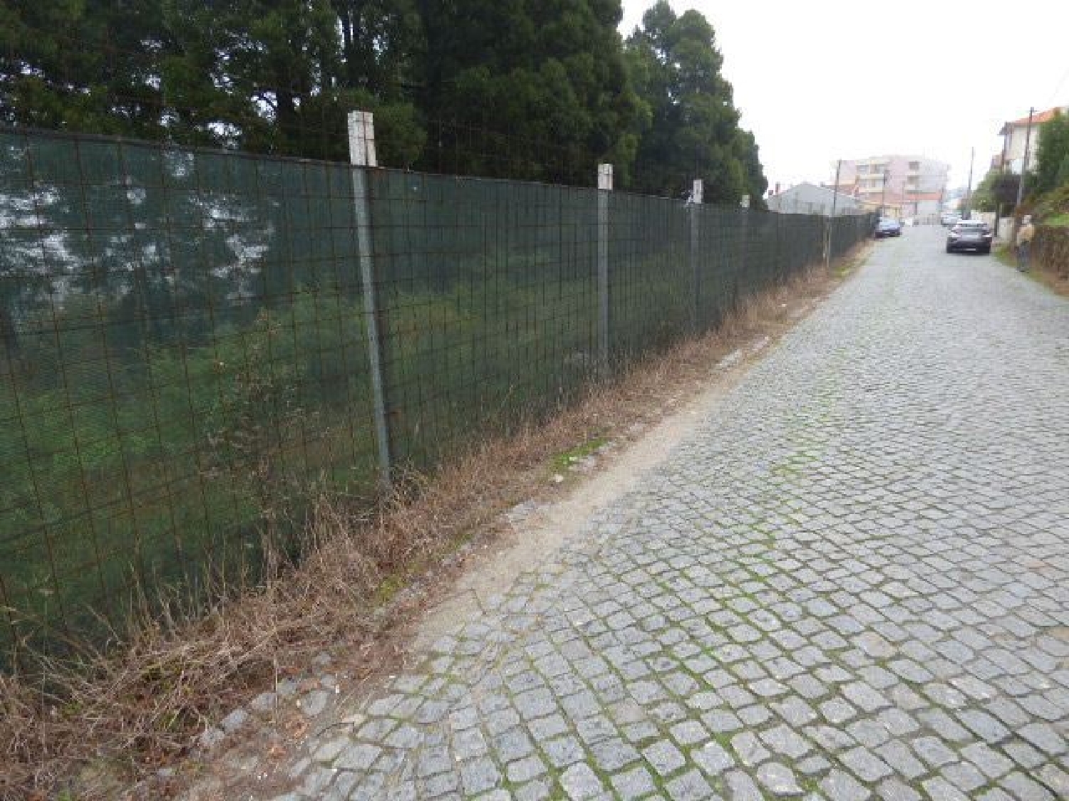  en venta terreno Oliveira do Douro Cinfães 1