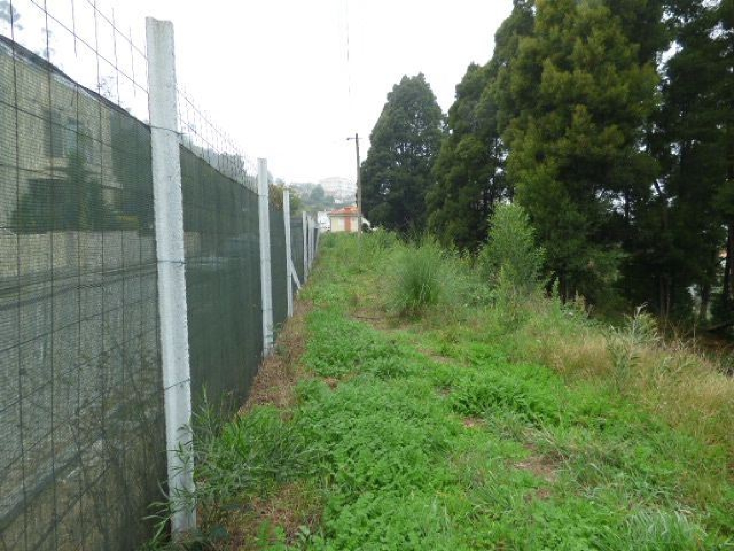  en venta terreno Oliveira do Douro Cinfães 3