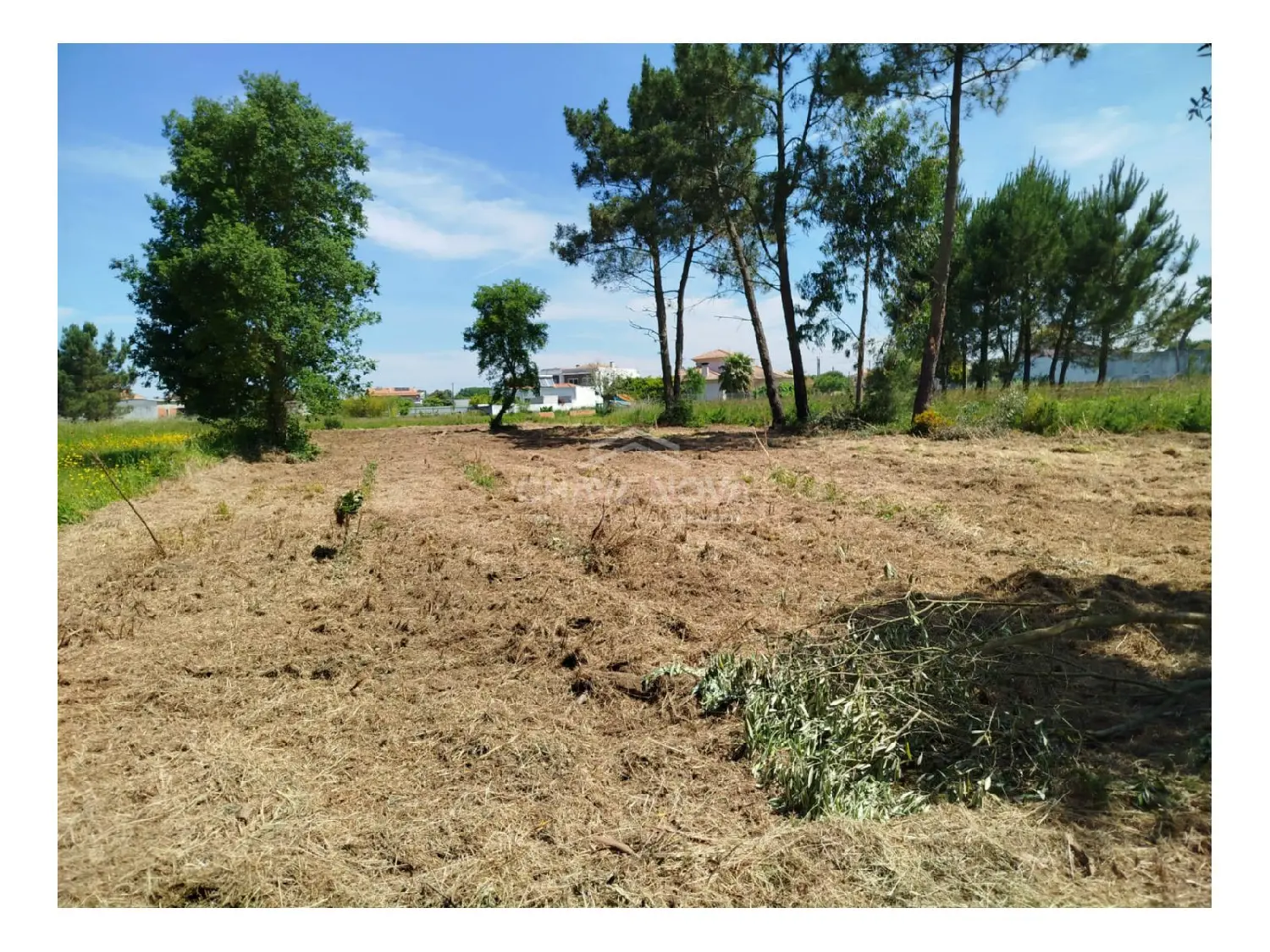  te koop terrein Oliveirinha Aveiro 1
