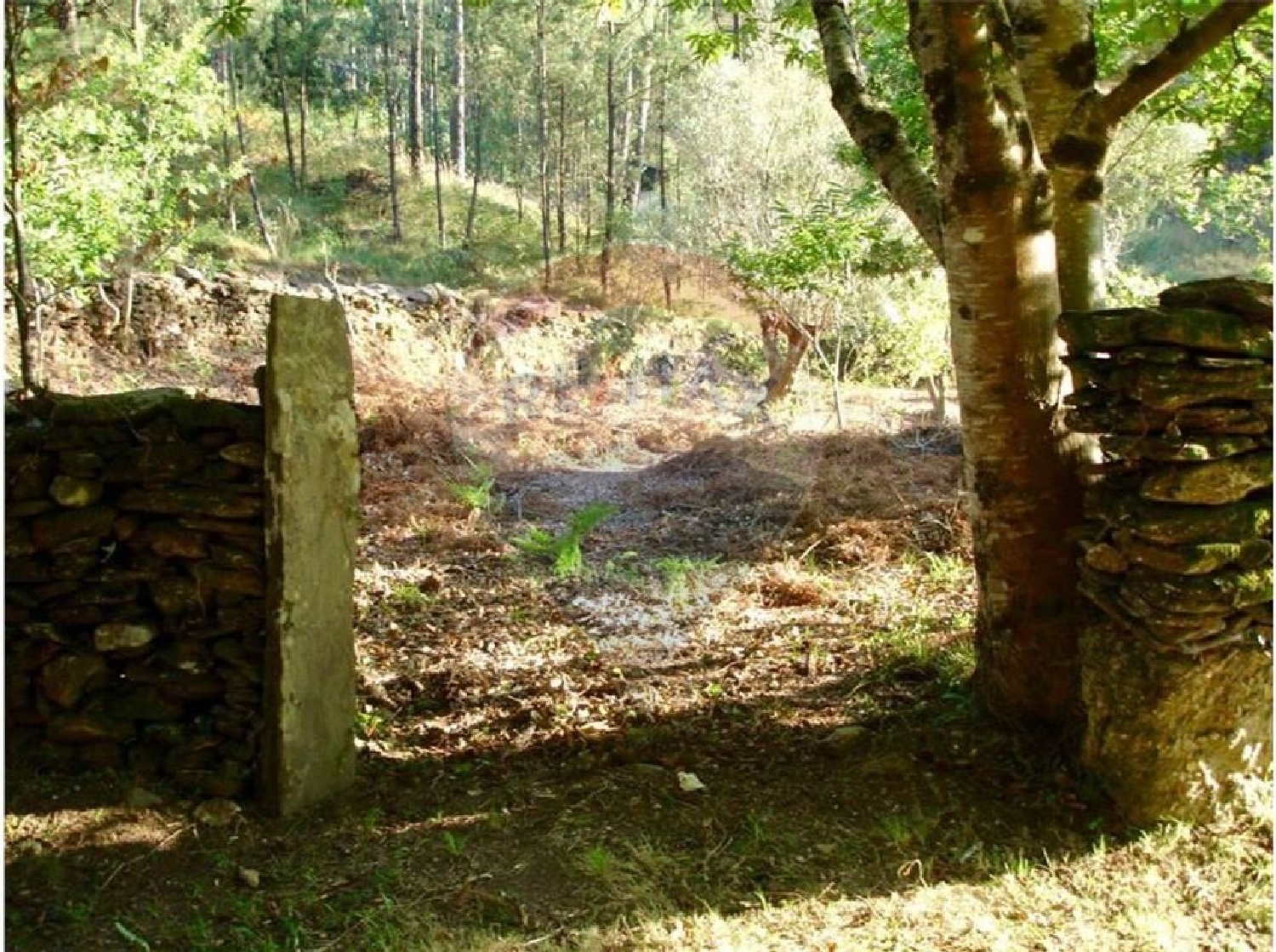  à venda terreno Orbacém Caminha 1