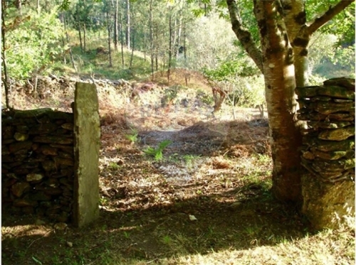 Orbacém Caminha tomt foto 322469