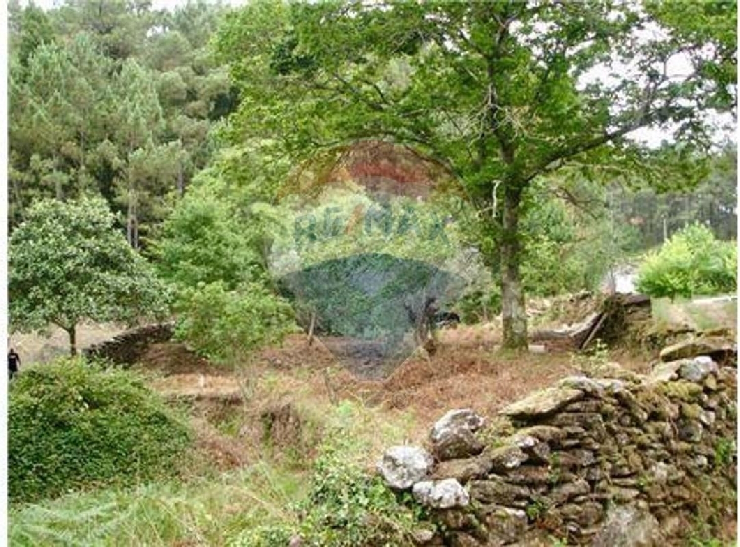  à venda terreno Orbacém Caminha 3