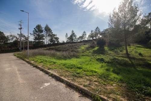 Ota Alenquer terrein foto 319405