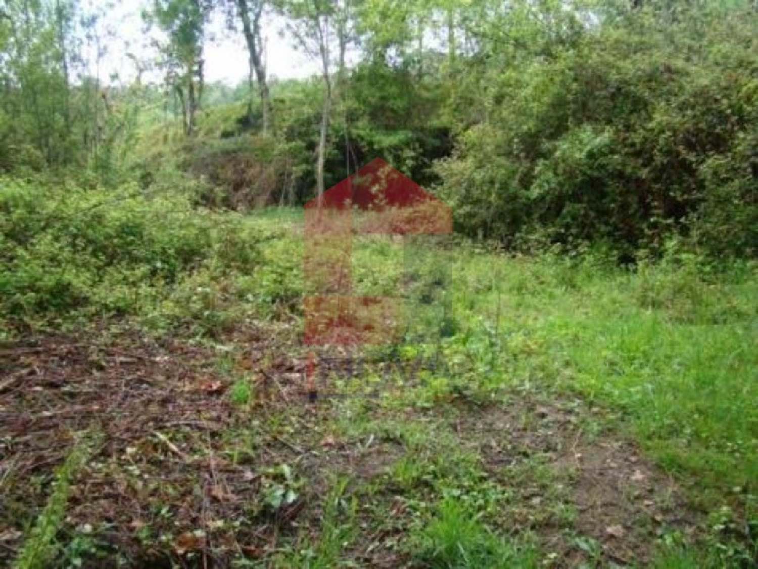  à vendre terrain Outeirinhos Vila Verde 1
