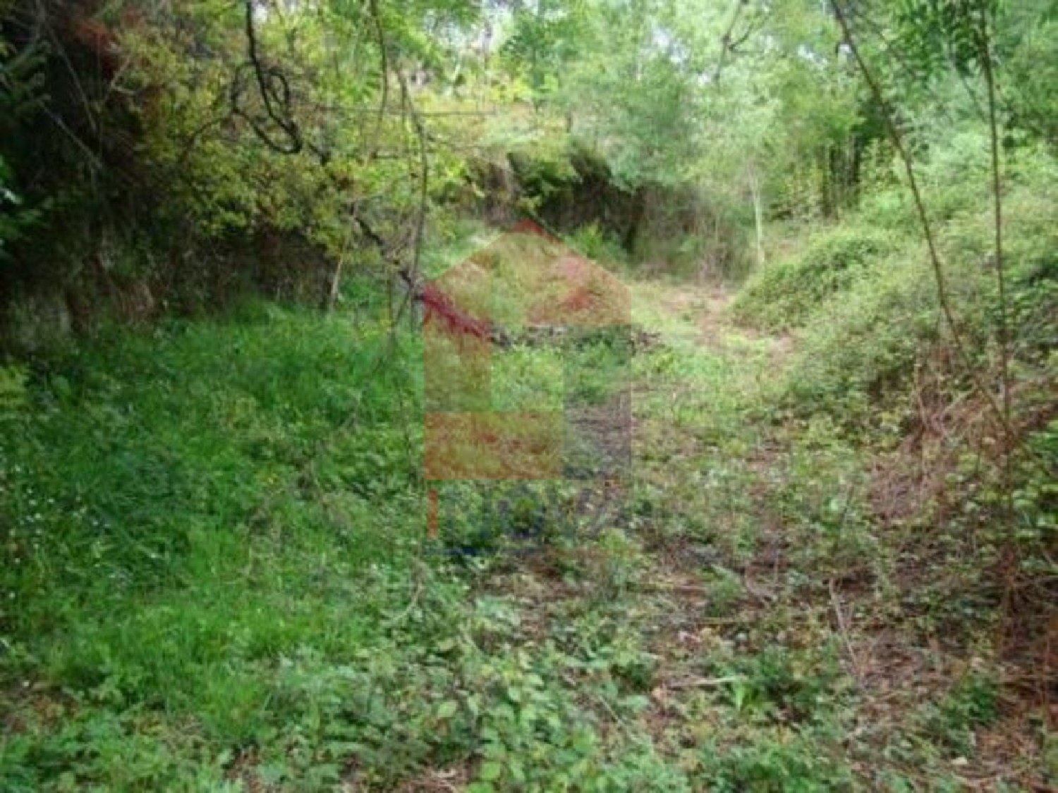 à vendre terrain Outeirinhos Vila Verde 2