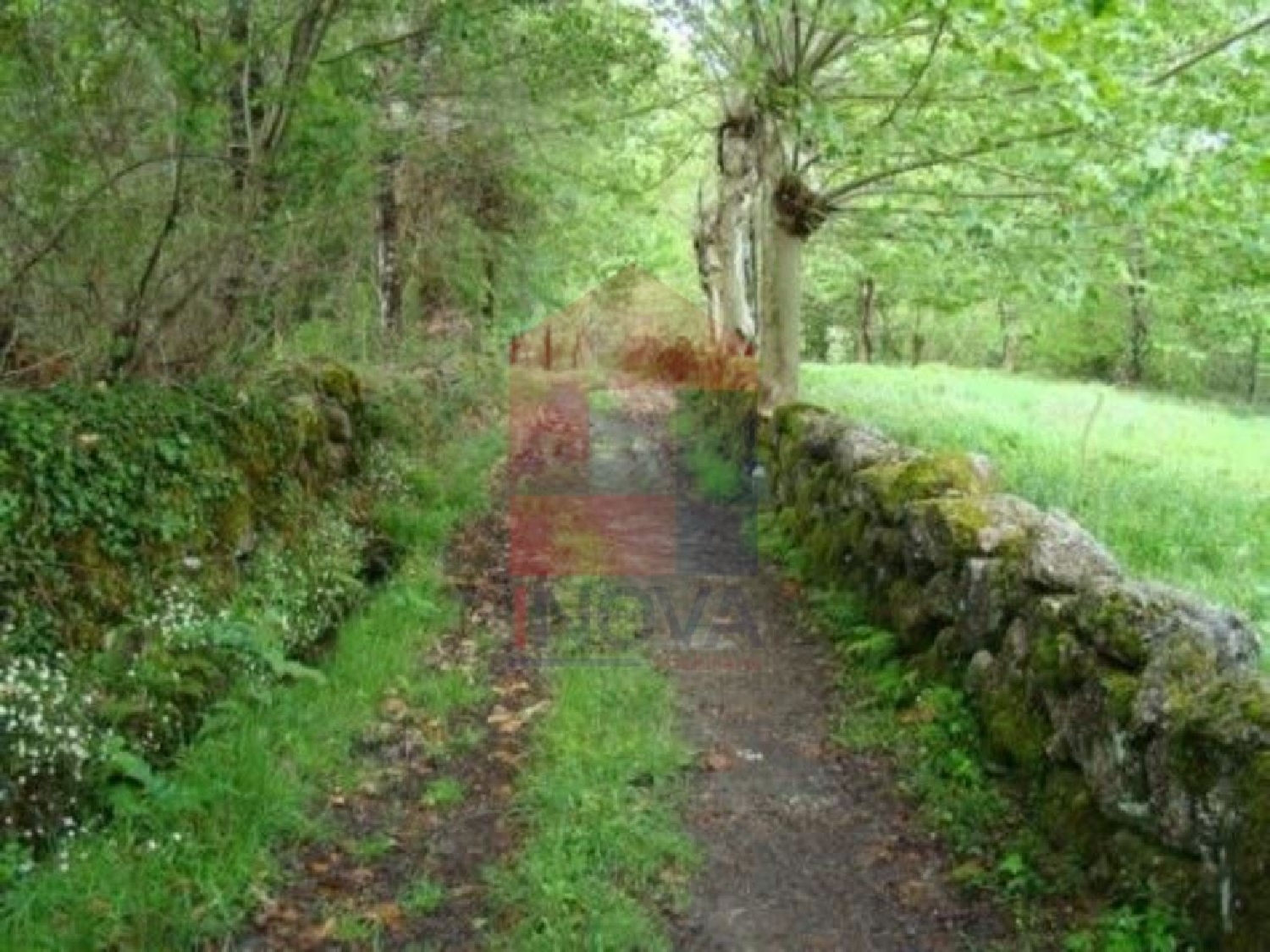 à vendre terrain Outeirinhos Vila Verde 3