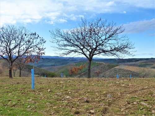 Outeiro Bragança terreno foto 320284