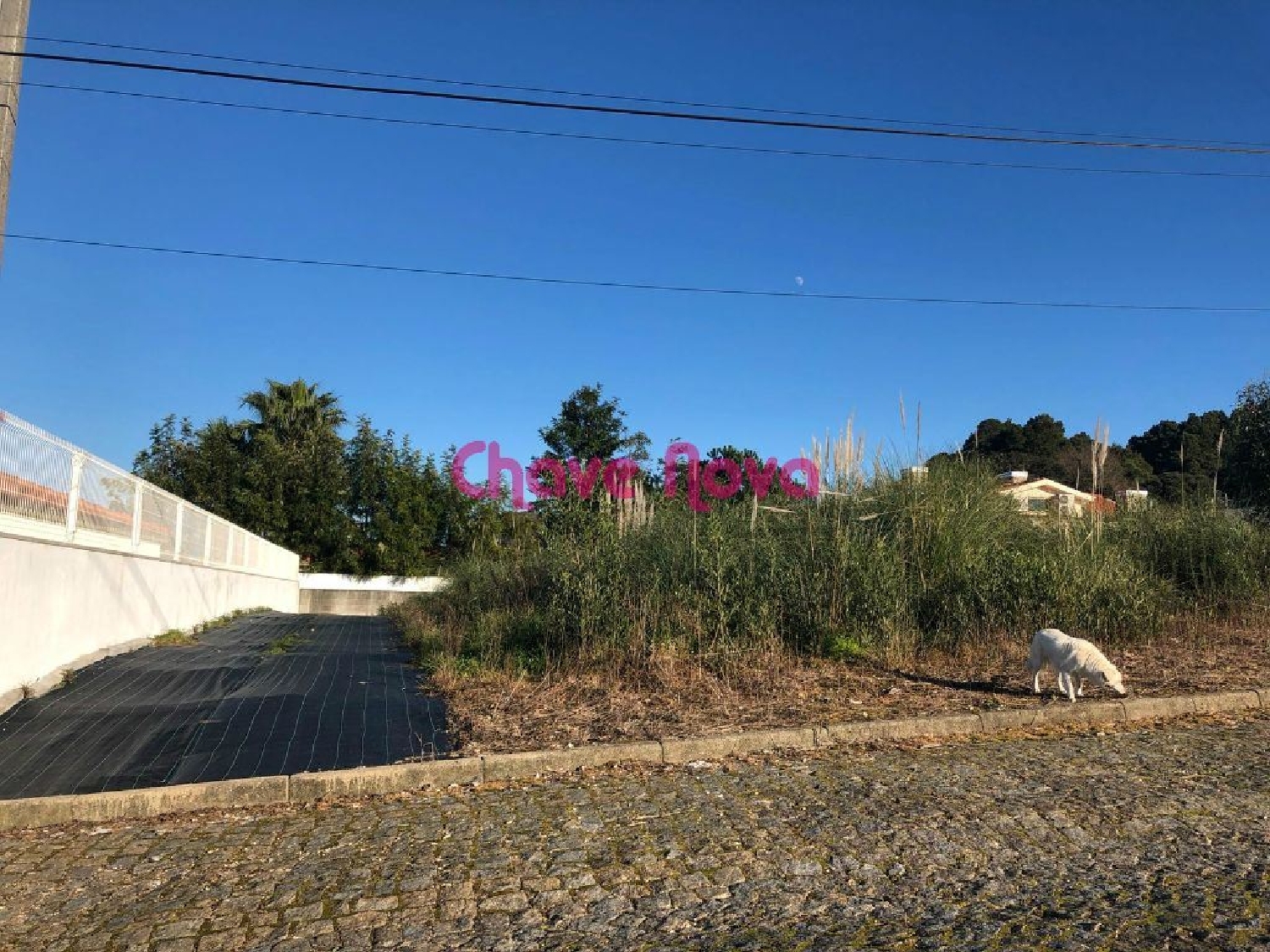  à venda terreno Paços de Brandão Santa Maria Da Feira 2