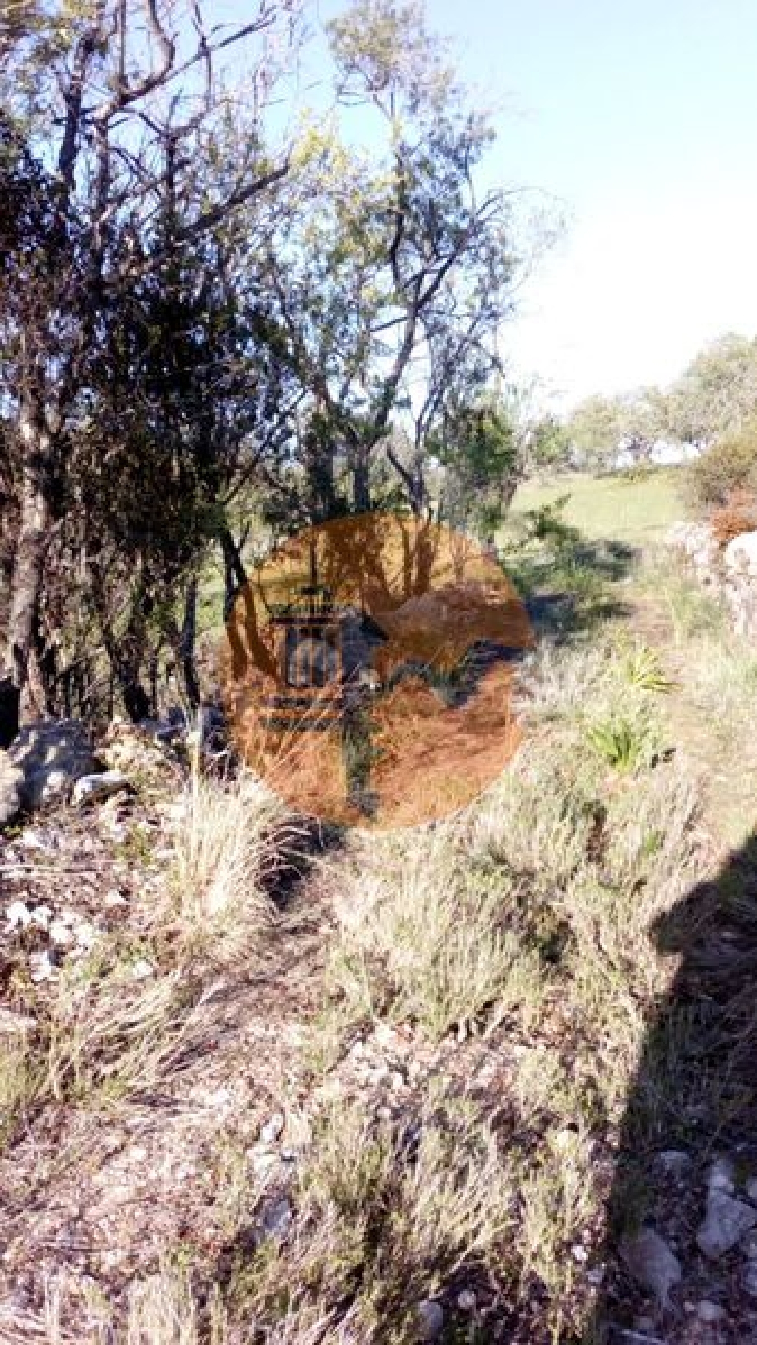  te koop terrein Paderne Albufeira 6