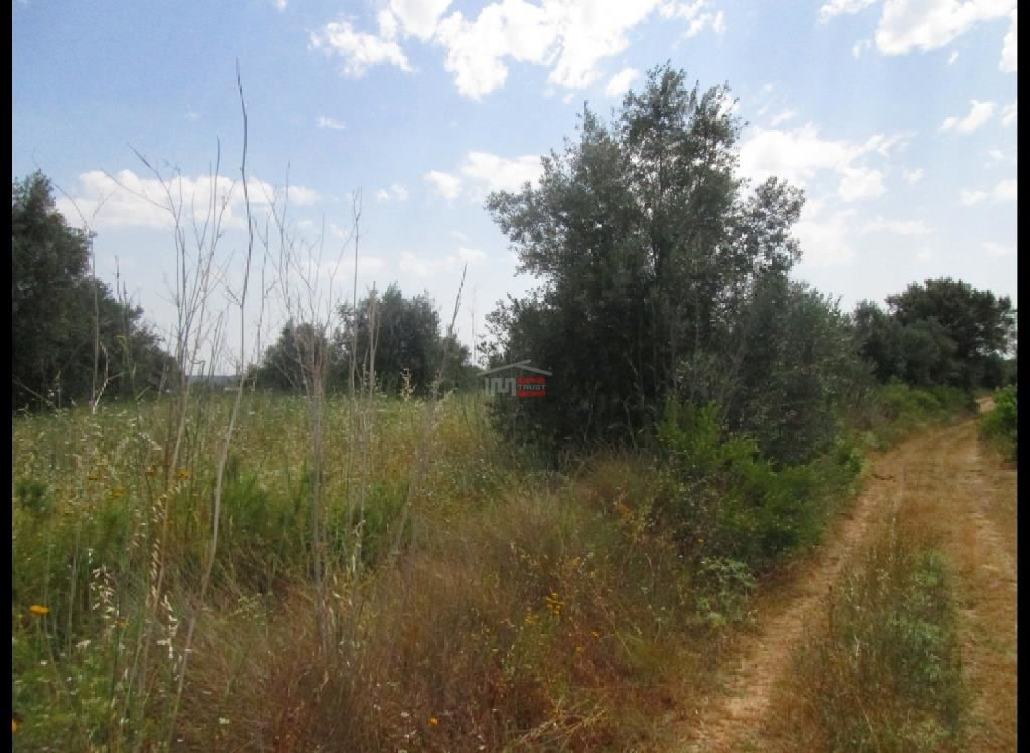  à vendre terrain Paialvo Tomar 1