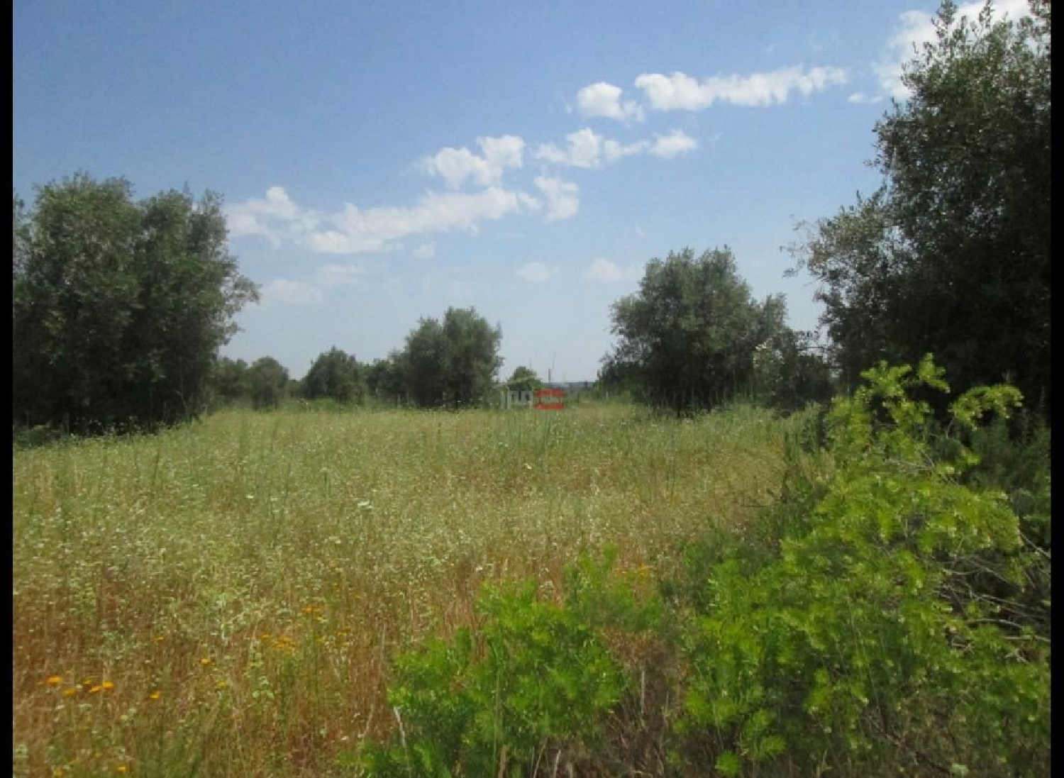 à vendre terrain Paialvo Tomar 2