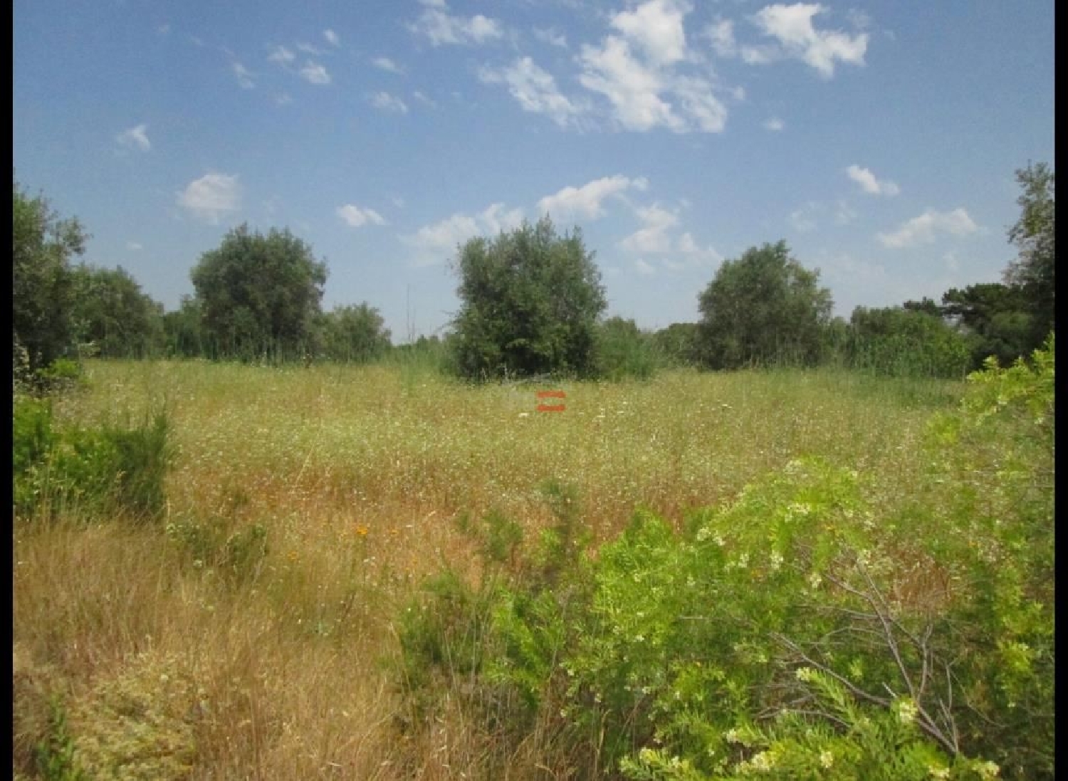 à vendre terrain Paialvo Tomar 3