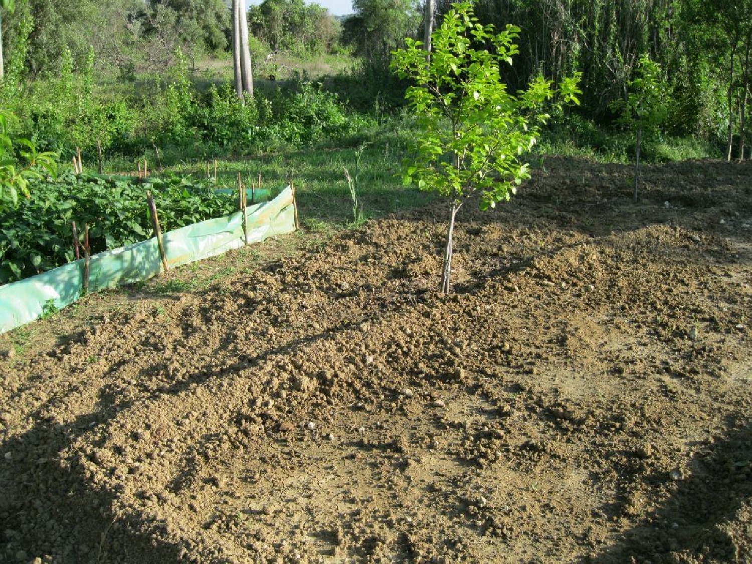  à venda terreno Paialvo Tomar 1