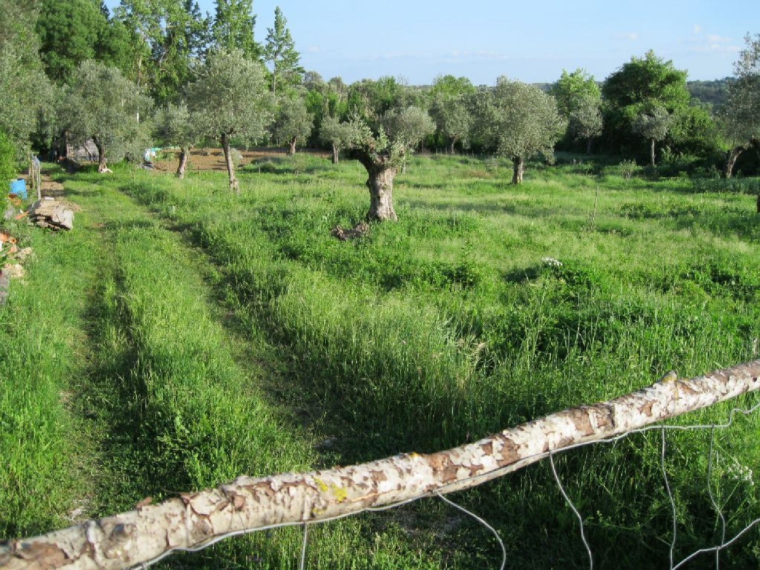 à venda terreno Paialvo Tomar 2