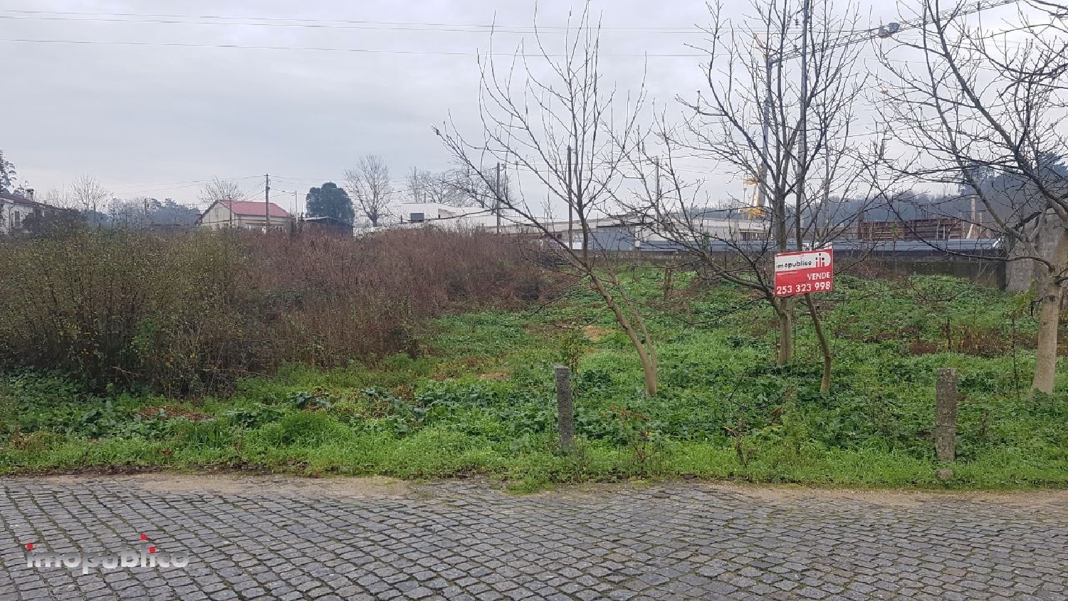  à vendre terrain Palmeira Braga 1