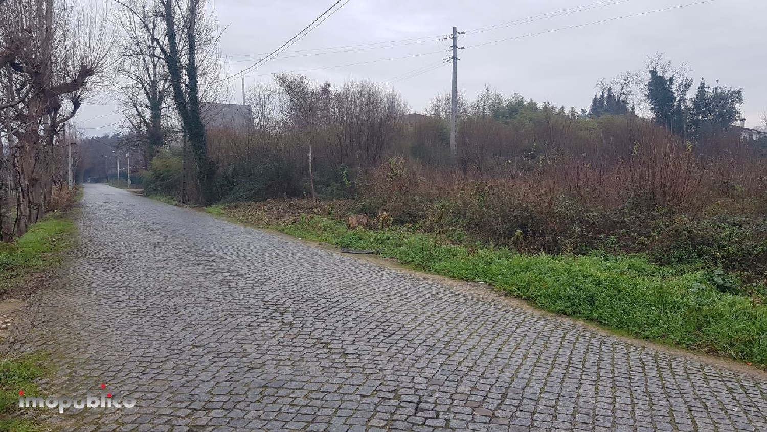 à vendre terrain Palmeira Braga 3