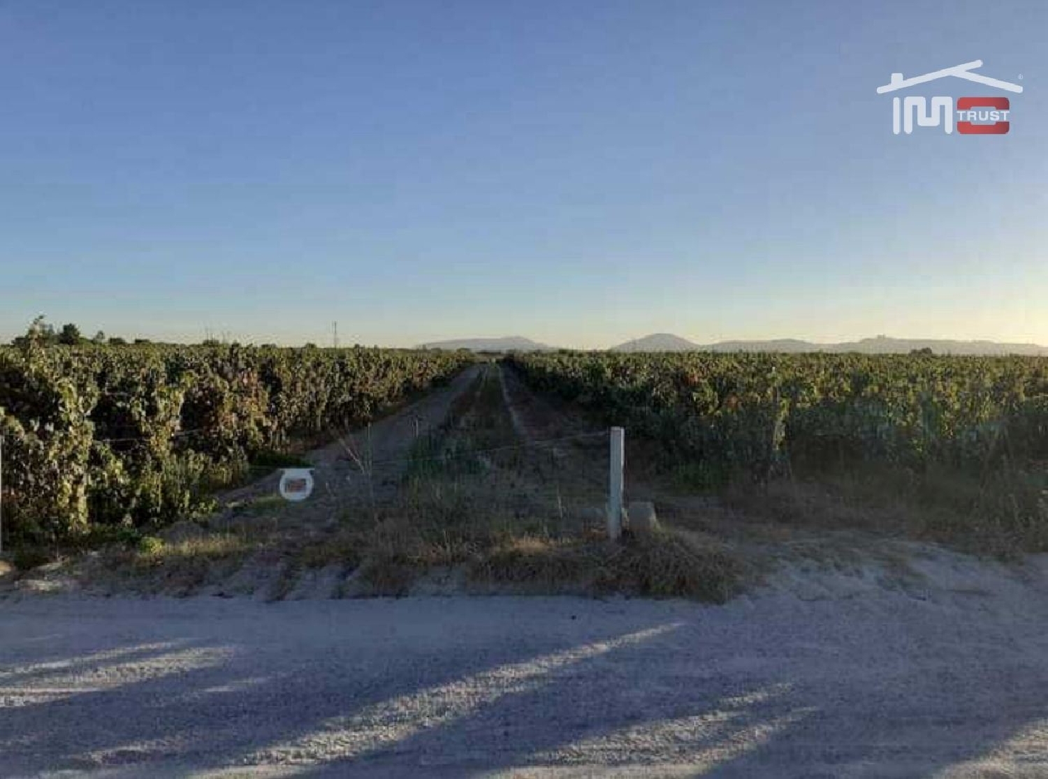  te koop terrein Palmela Palmela 1
