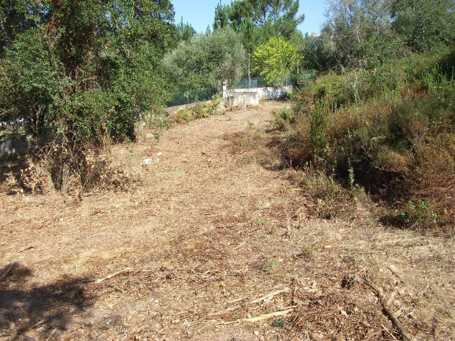 kaufen Grundstück Paúl Coimbra 2