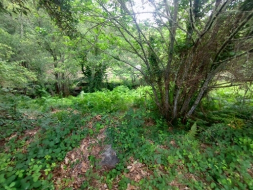 Pedrógão Grande Pedrógão Grande terreno foto 327284