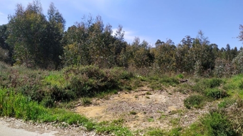 Pedrógão Pequeno Sertã terrein foto 327183