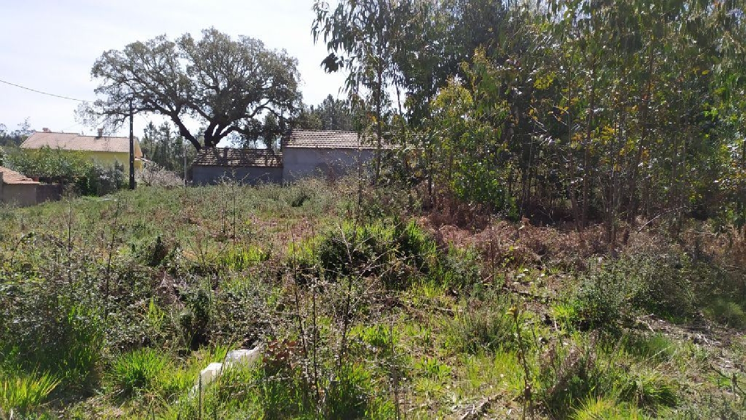 te koop terrein Pedrógão Pequeno Sertã 3