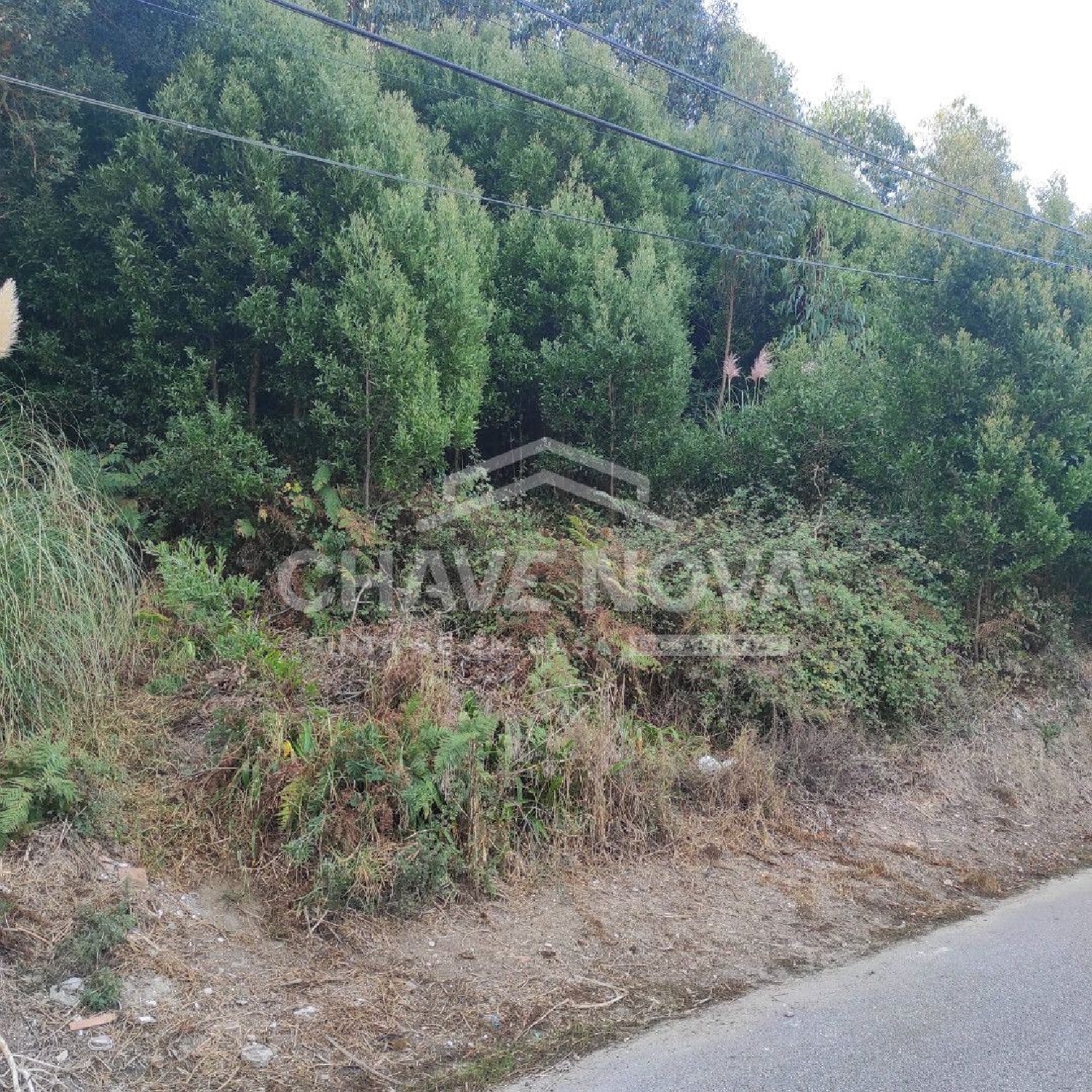 à vendre terrain Pedroso Vila Nova De Gaia 2