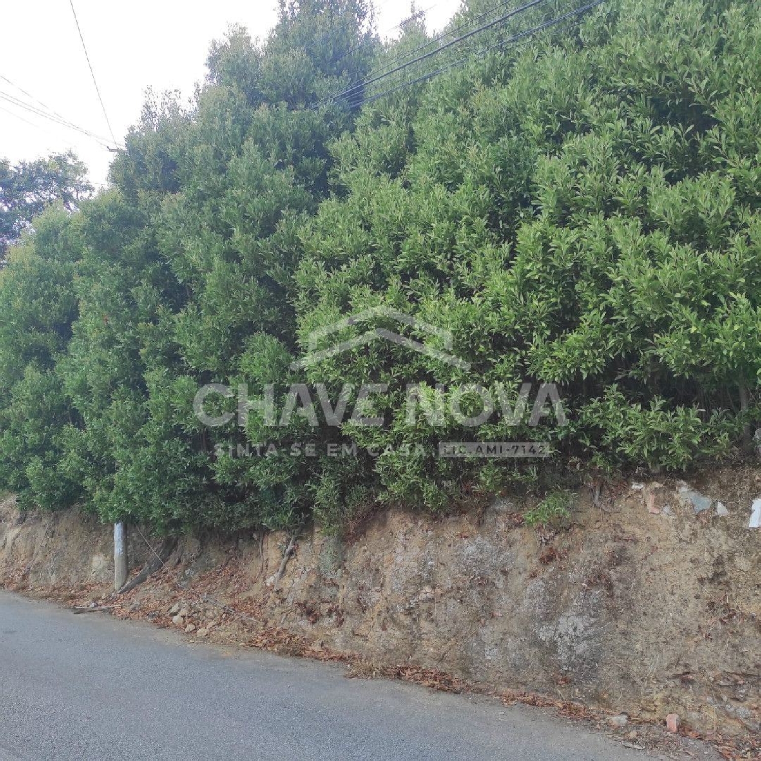 à vendre terrain Pedroso Vila Nova De Gaia 3