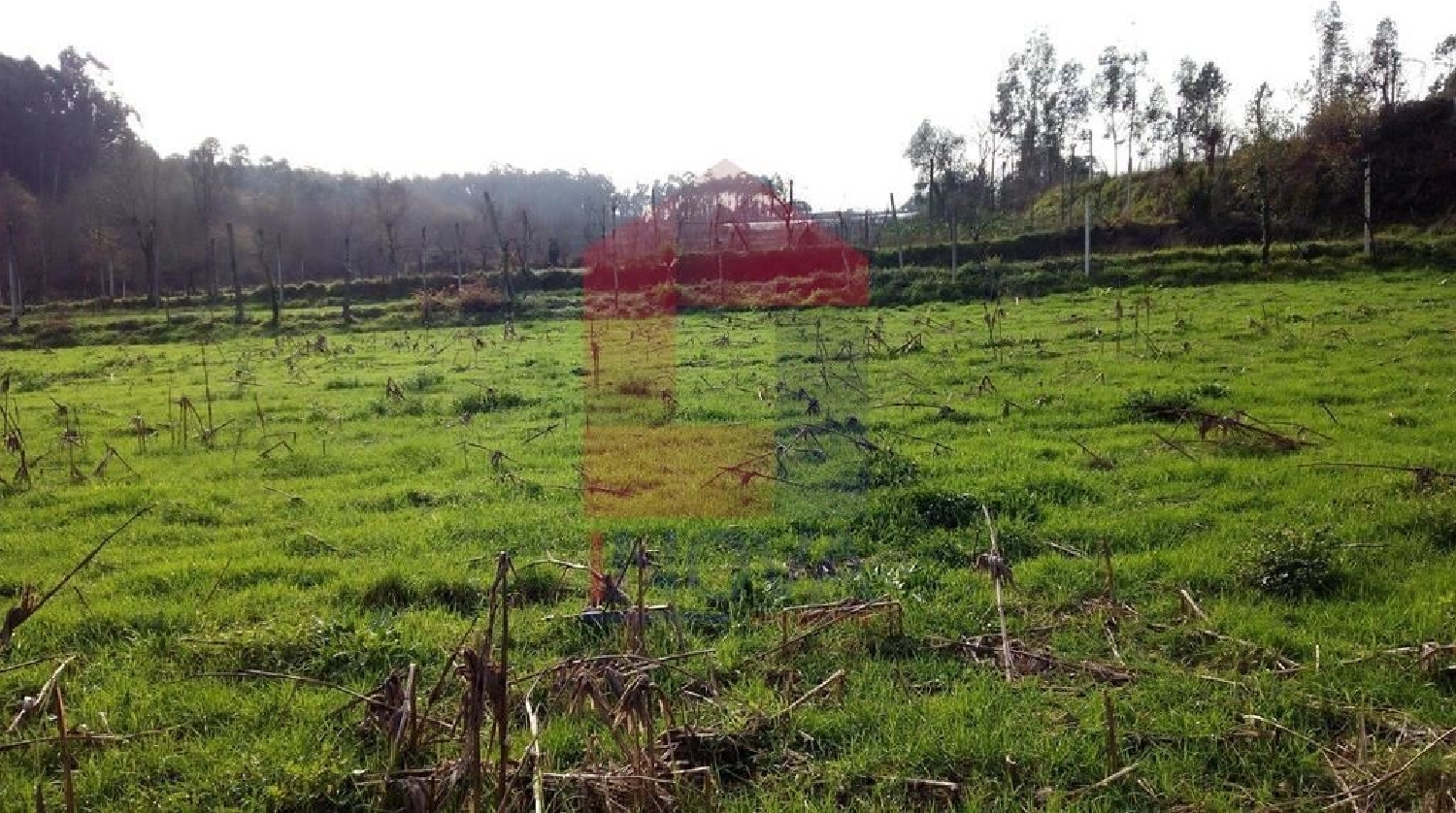 kaufen Grundstück Penascais Vila Verde 2