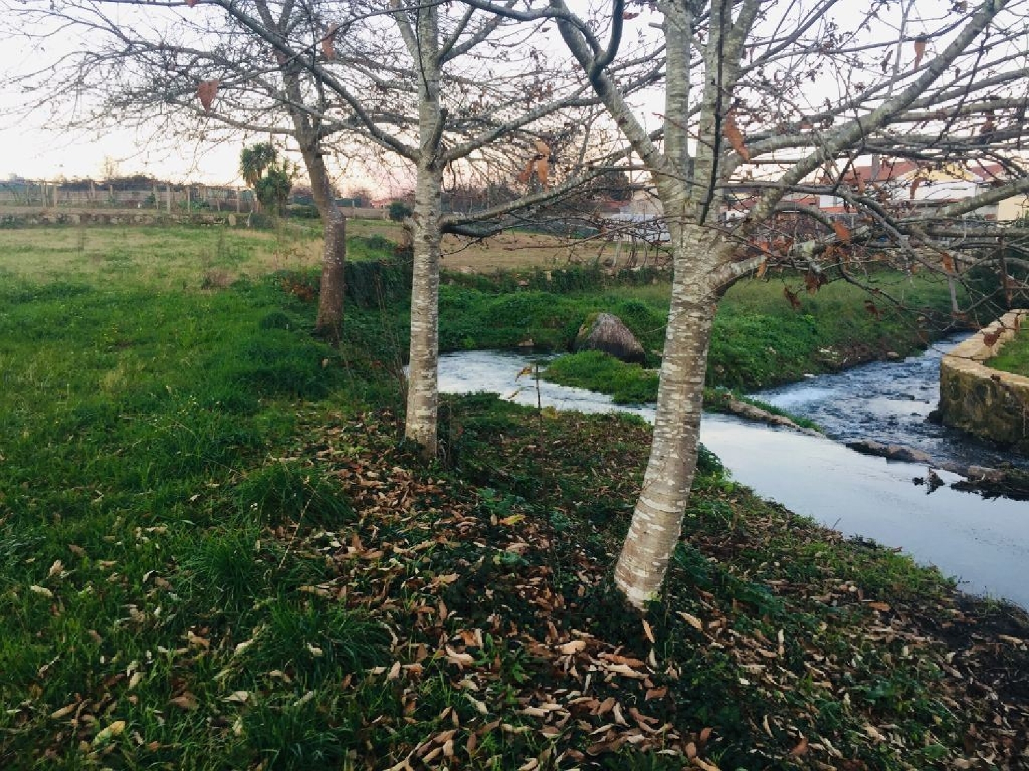  for sale terrain Perelhal Barcelos 1