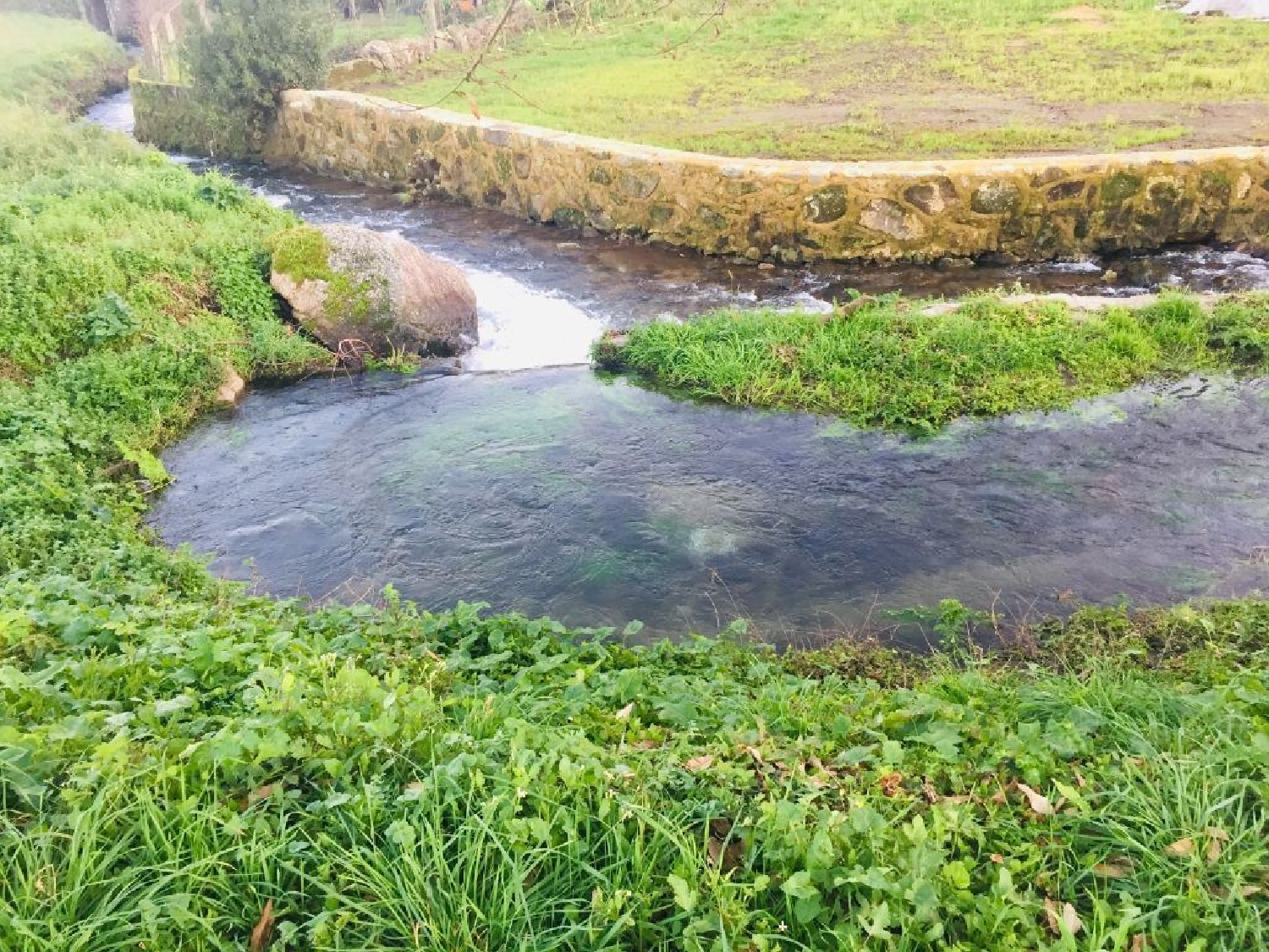  for sale terrain Perelhal Barcelos 2
