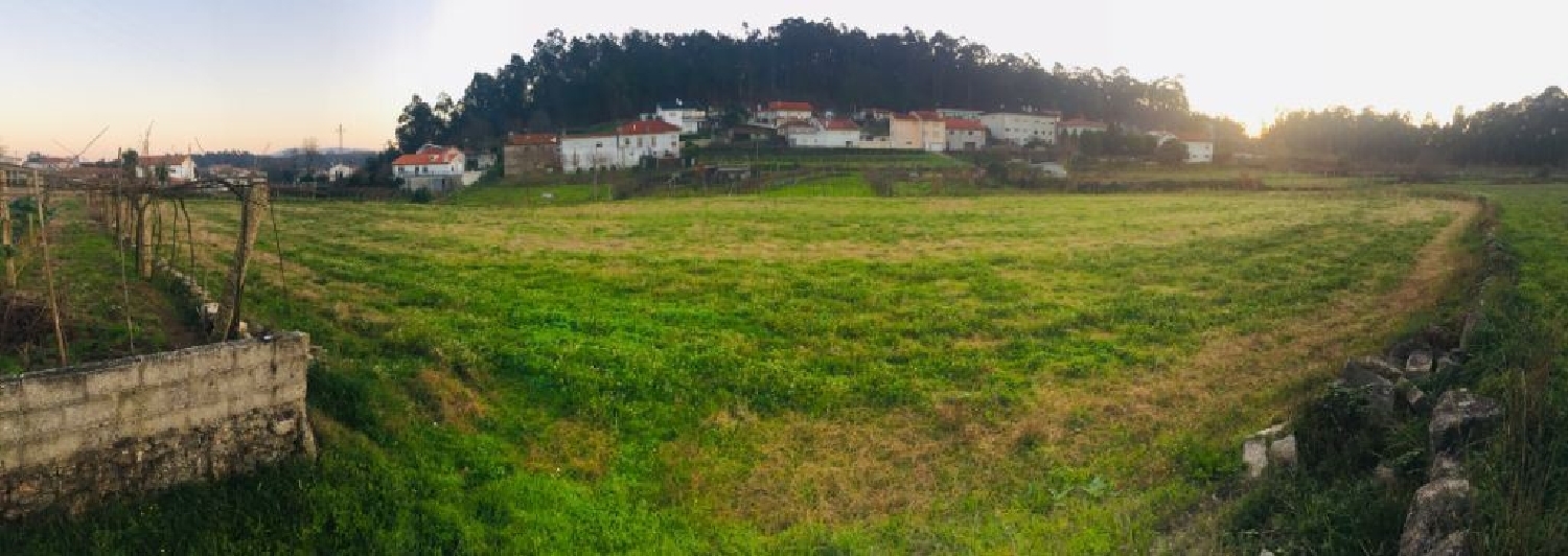  for sale terrain Perelhal Barcelos 3