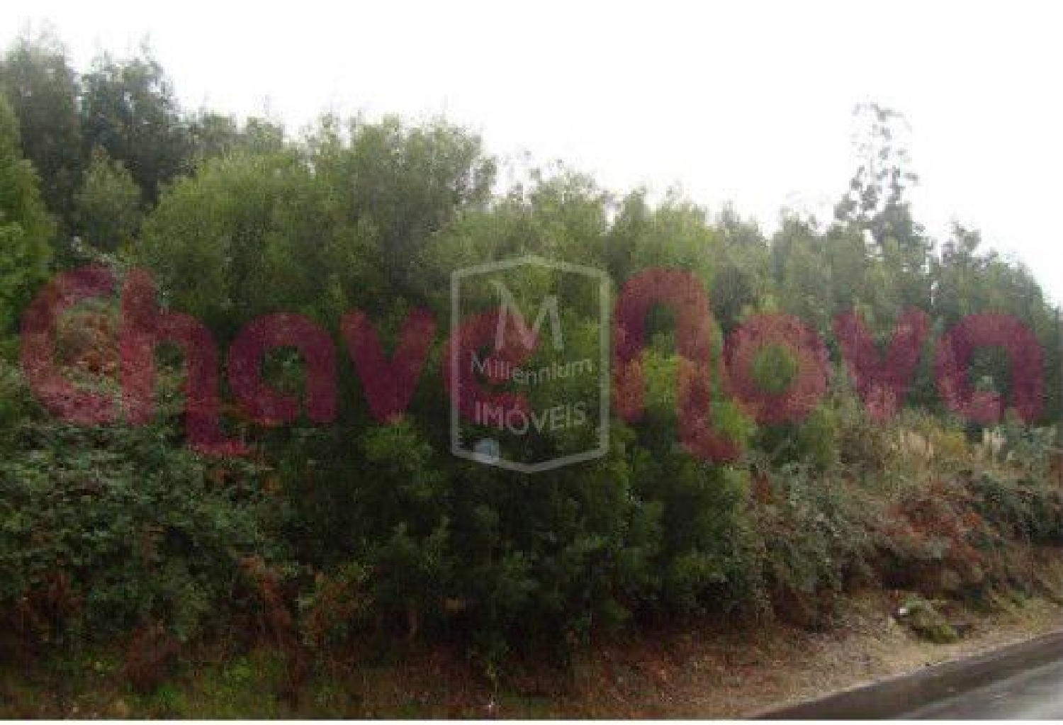  te koop terrein Perosinho Vila Nova De Gaia 1