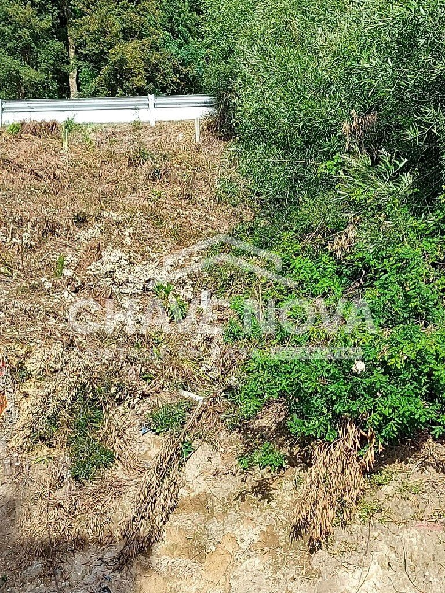  kaufen Grundstück Perosinho Vila Nova De Gaia 3