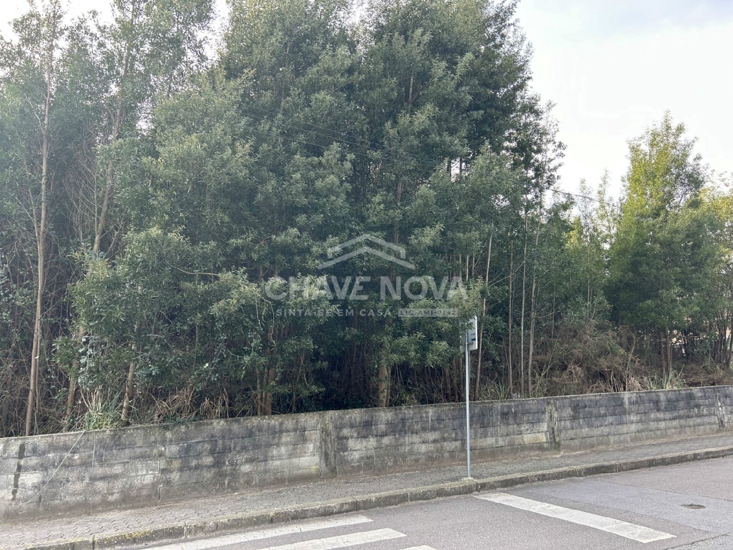 köpa tomt Perosinho Vila Nova De Gaia 3