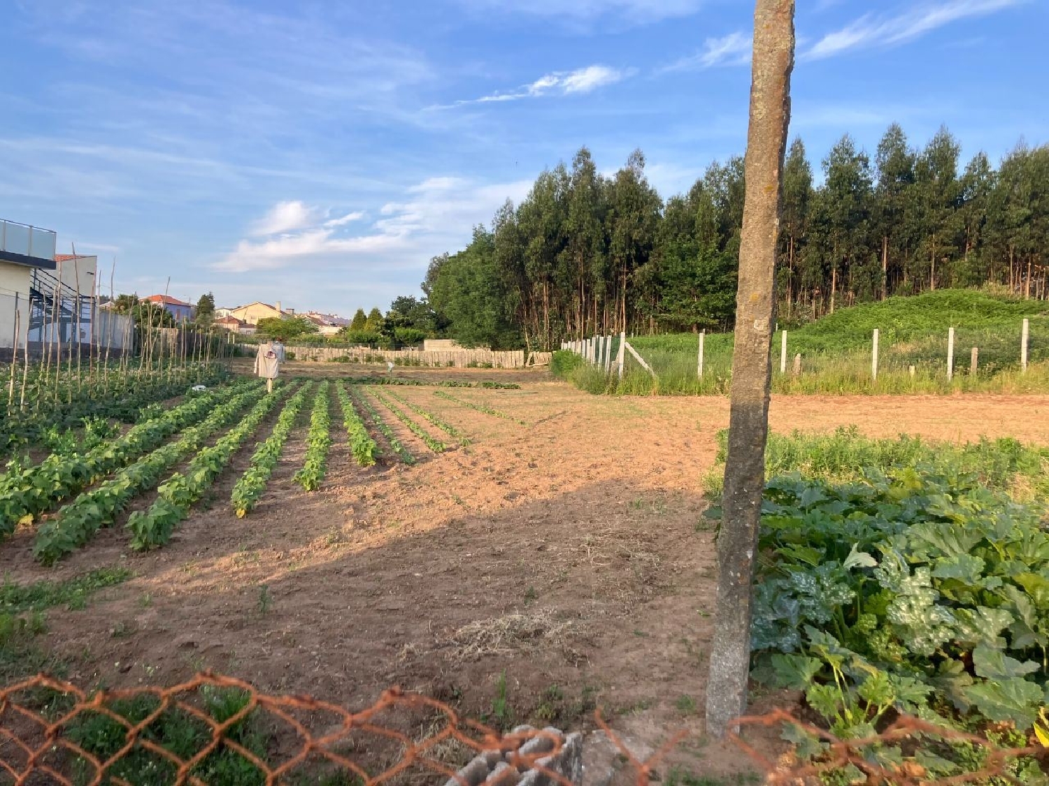  en venta terreno Perosinho Vila Nova De Gaia 1