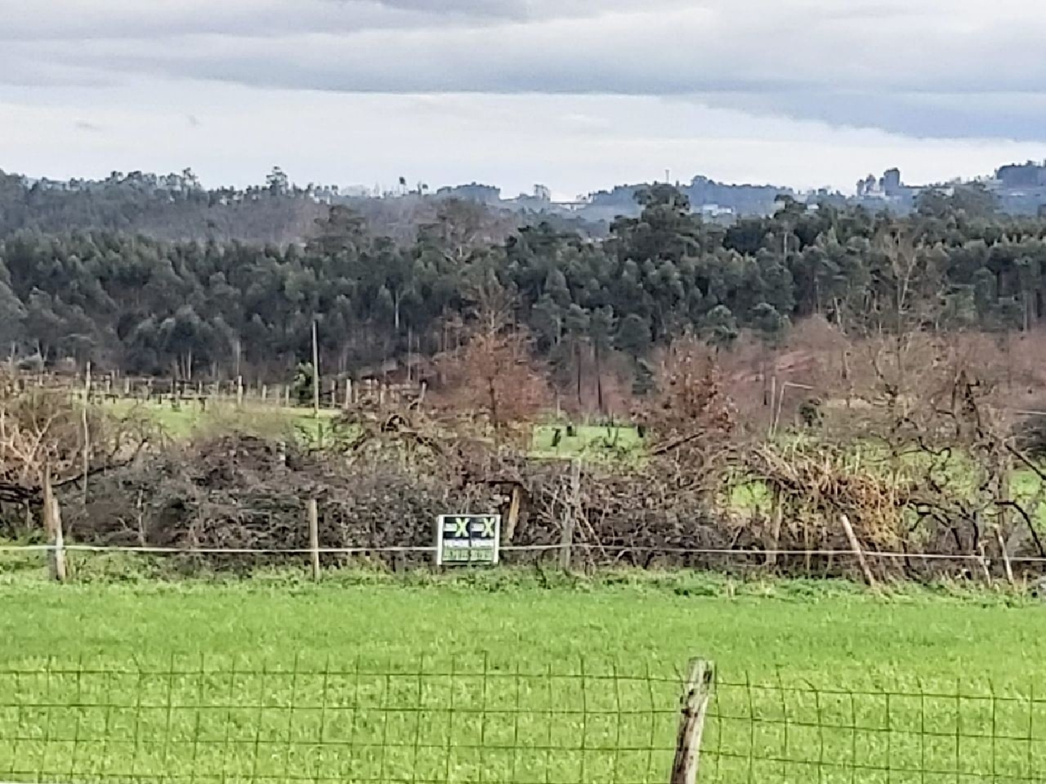  à venda terreno Pias Lousada 1