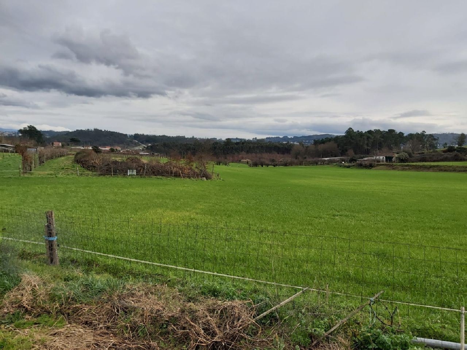  à venda terreno Pias Lousada 3