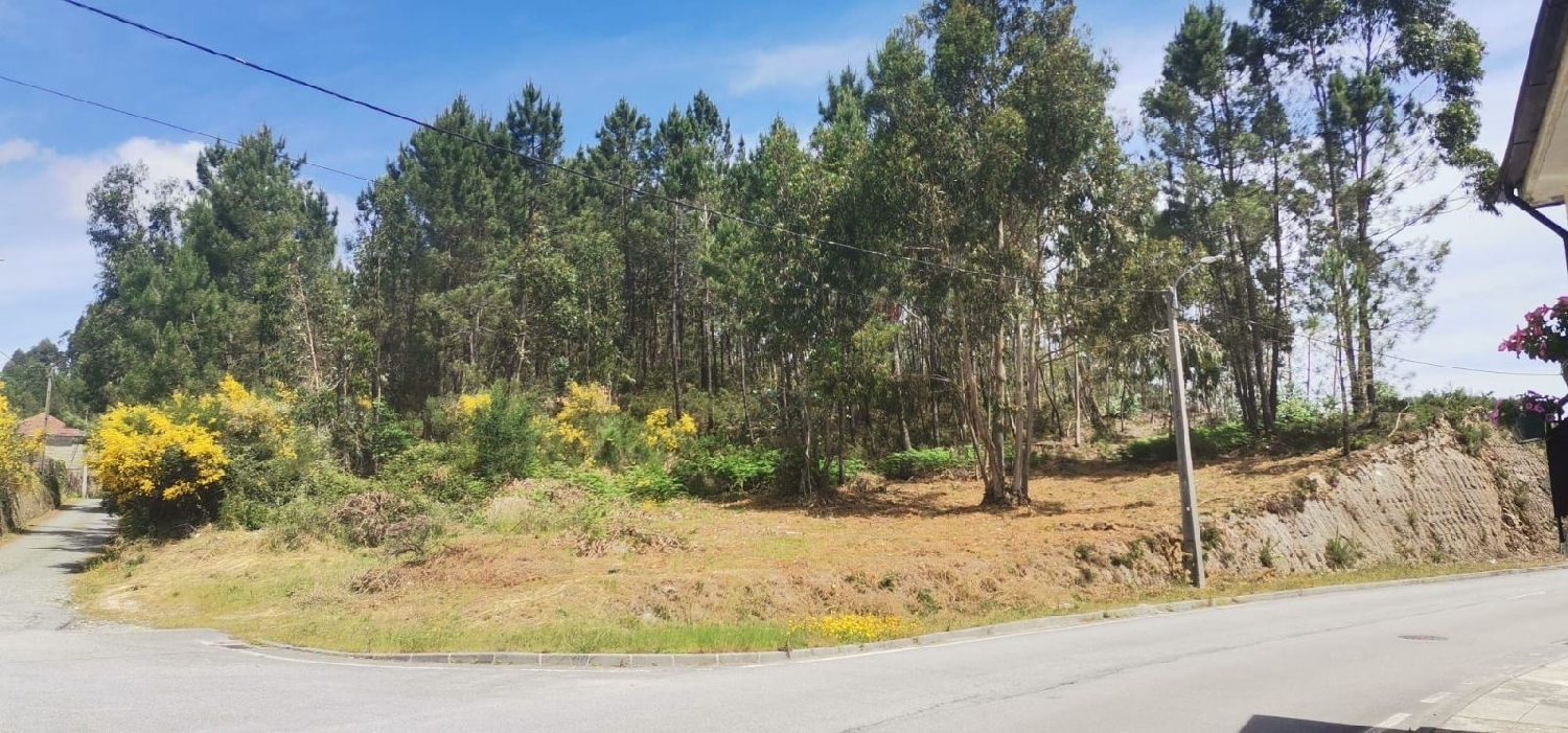  à venda terreno Pias Lousada 1