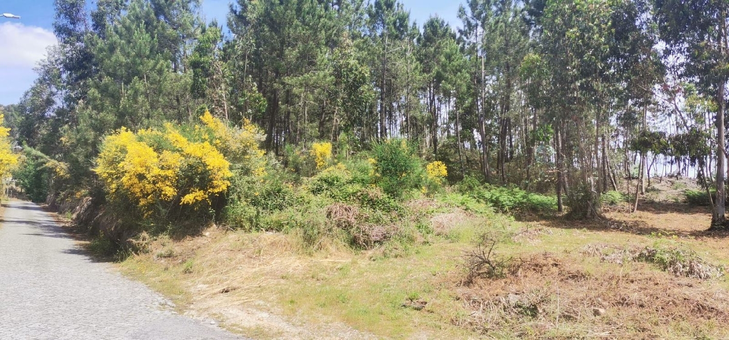  à venda terreno Pias Lousada 2