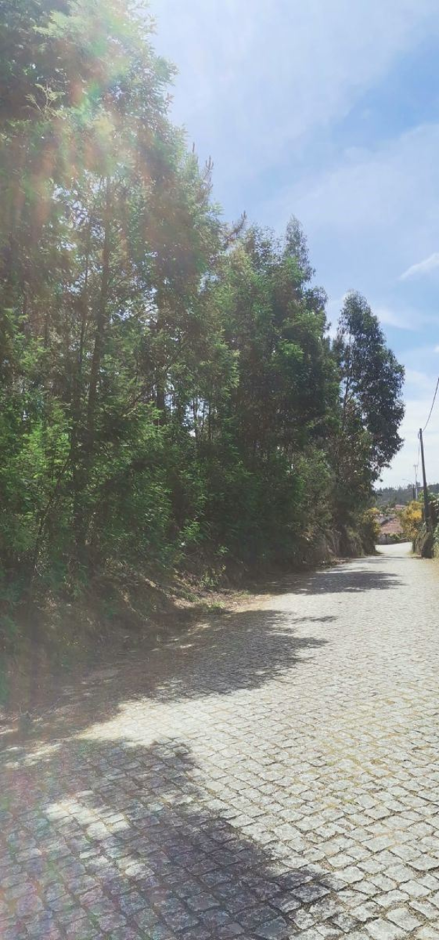  à venda terreno Pias Lousada 3