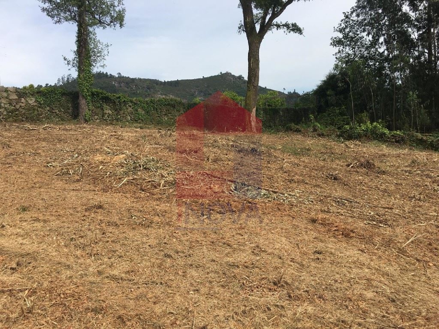 à vendre terrain Pico São Vicente 3