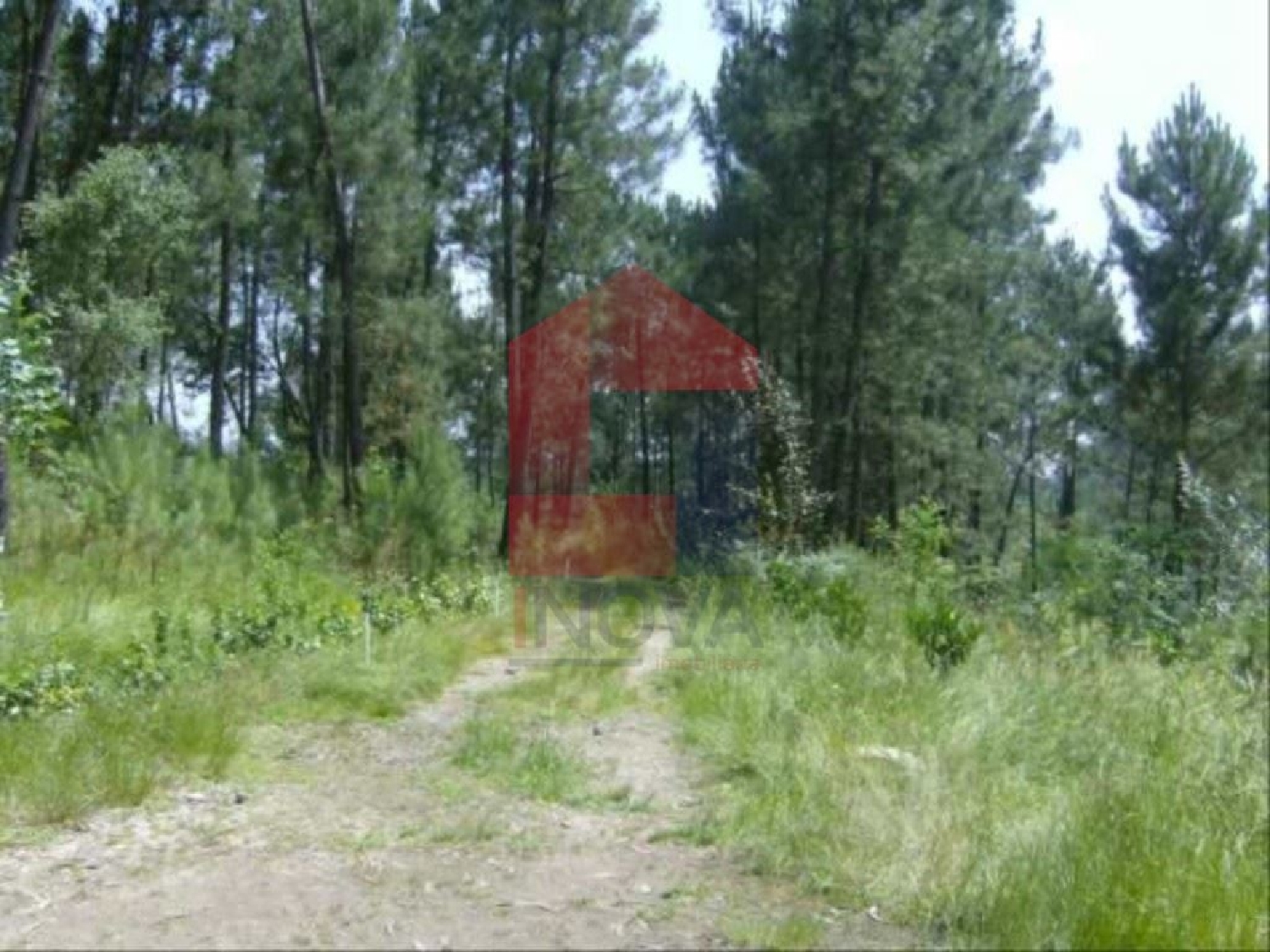 for sale terrain Pico São Vicente 3