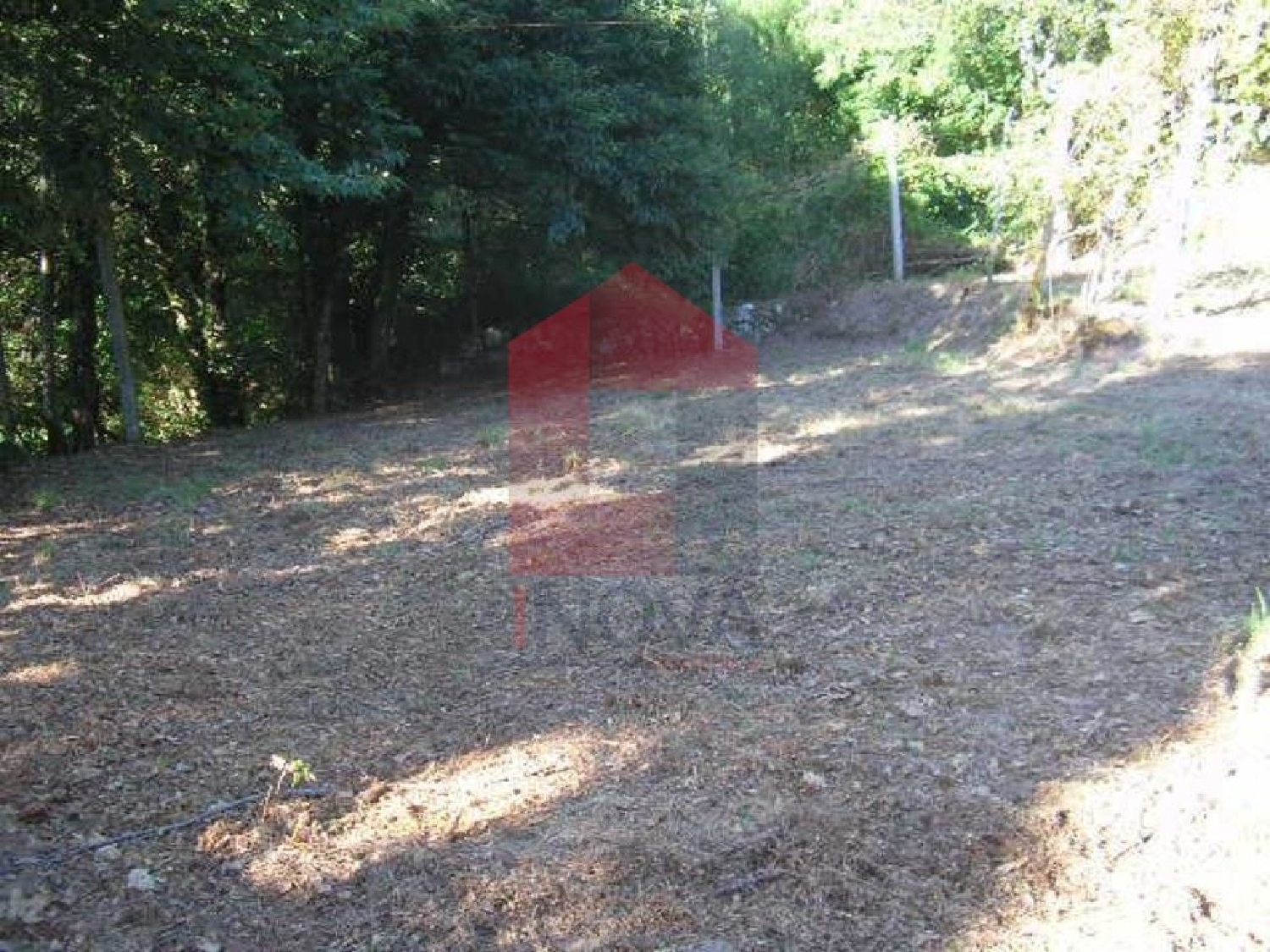  for sale terrain Pigeiro Vila Verde 1