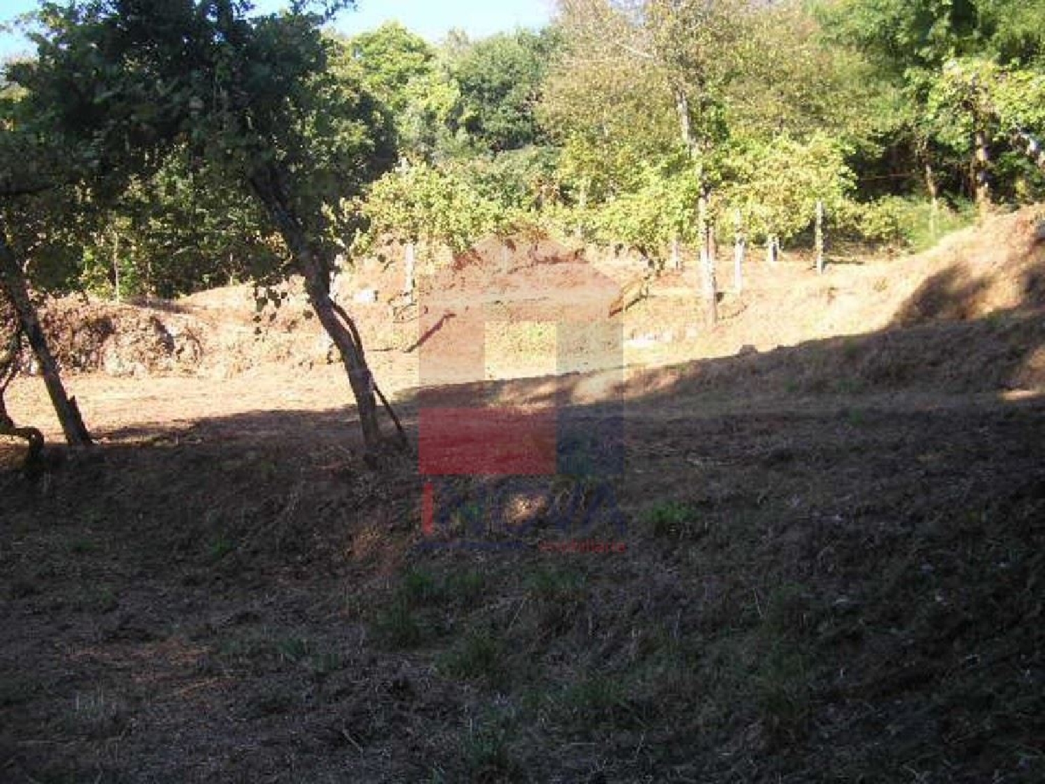 kaufen Grundstück Pigeiro Vila Verde 2