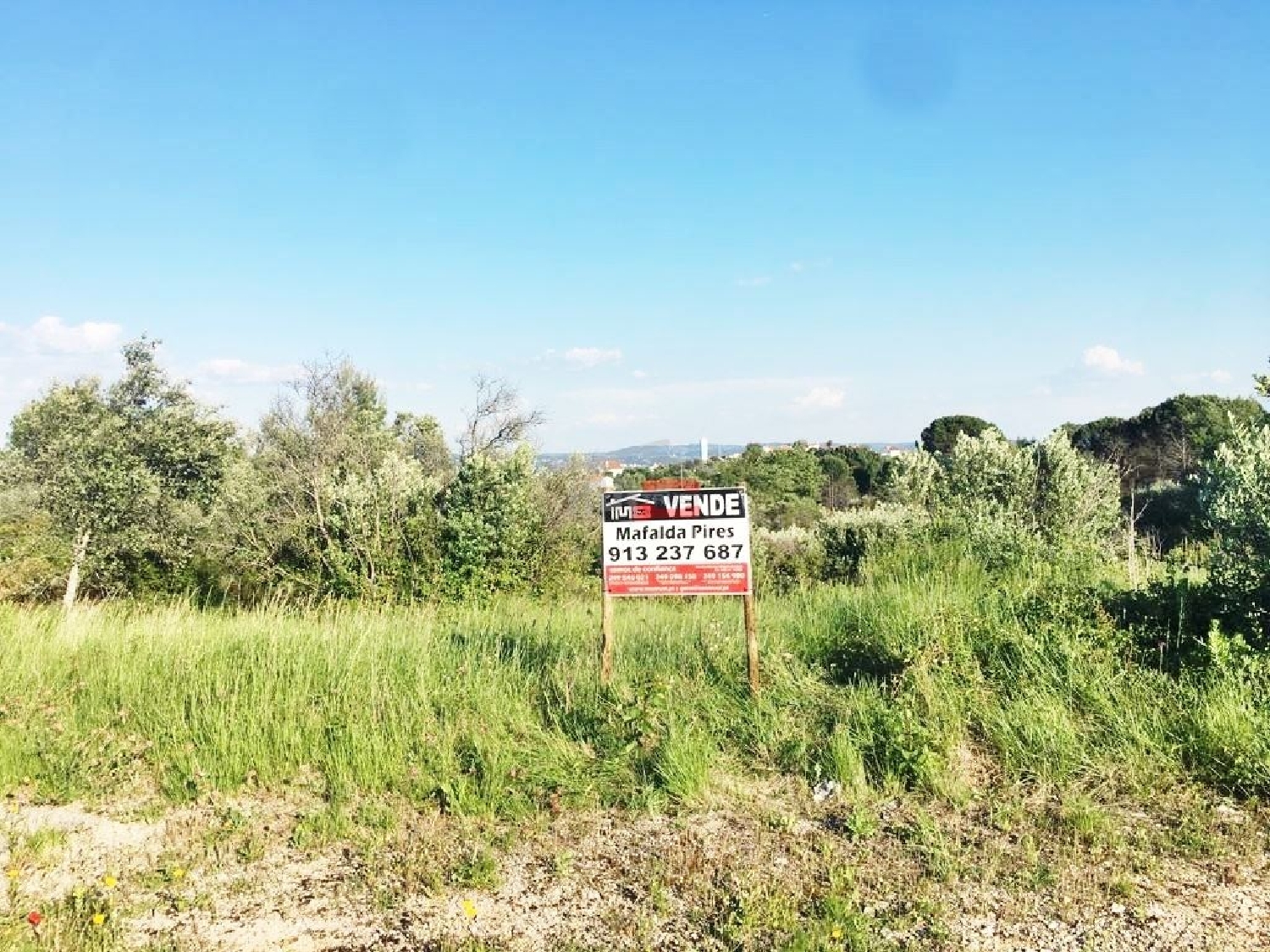 à venda terreno Poço Redondo Tomar 2