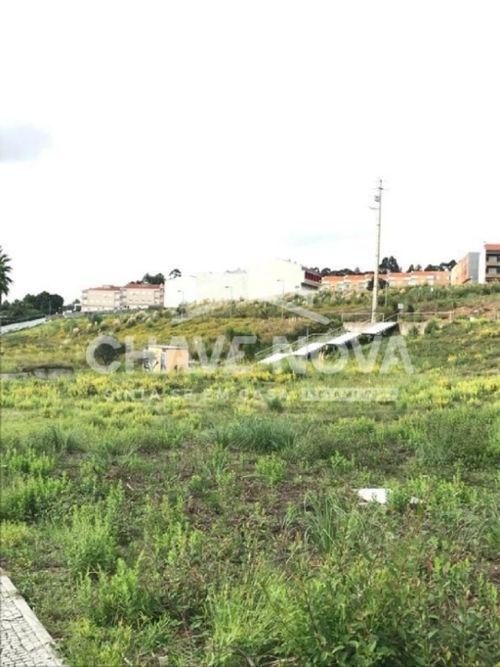 Pomar Santa Maria Da Feira terreno foto 321615